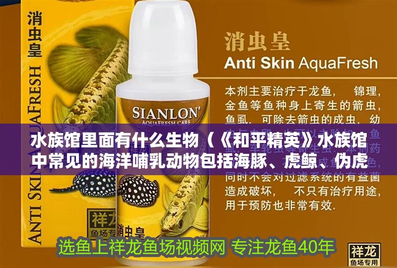 水族館里面有什么生物（《和平精英》水族館中常見的海洋哺乳動物包括海豚、虎鯨、偽虎鯨）