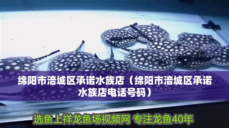 綿陽市涪城區承諾水族店（綿陽市涪城區承諾水族店電話號碼）