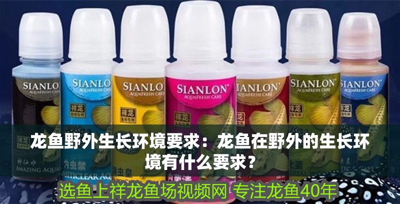 龍魚野外生長環(huán)境要求：龍魚在野外的生長環(huán)境有什么要求？