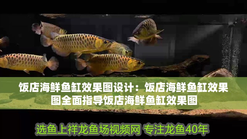 飯店海鮮魚缸效果圖設計：飯店海鮮魚缸效果圖全面指導飯店海鮮魚缸效果圖