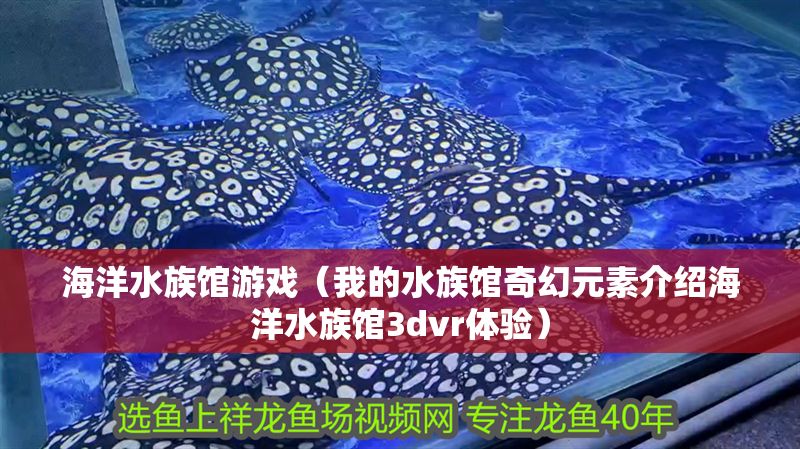 海洋水族館游戲（我的水族館奇幻元素介紹海洋水族館3dvr體驗）