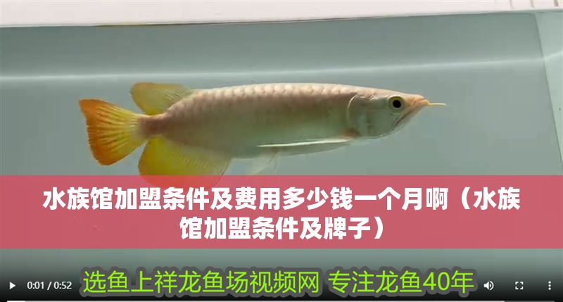水族館加盟條件及費用多少錢一個月啊（水族館加盟條件及牌子） 水族館加盟條件及費用多少錢一個月啊（水族館加盟條件及牌子） 水族館百科（水族館加盟） 第1張