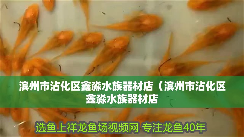 濱州市沾化區(qū)鑫淼水族器材店(濱州市沾化區(qū)鑫淼水族器材店 全國(guó)水族館企業(yè)名錄 第2張 濱州市沾化區(qū)鑫淼水族器材店(濱州市沾化區(qū)鑫淼水族器材店 濱州市沾化區(qū)鑫淼水族器材店(濱州市沾化區(qū)鑫淼水族器材店 全國(guó)水族館企業(yè)名錄 第2張