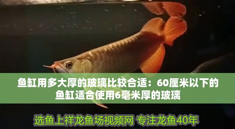 魚缸用多大厚的玻璃比較合適：60厘米以下的魚缸適合使用6毫米厚的玻璃