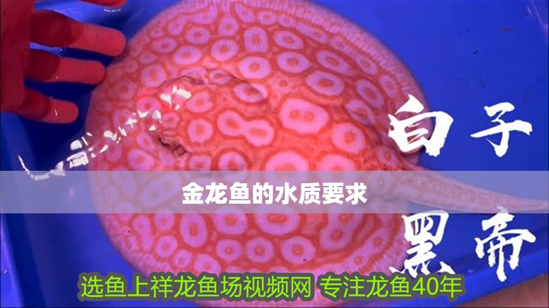 金龍魚的水質要求 金龍魚的水質要求 龍魚百科