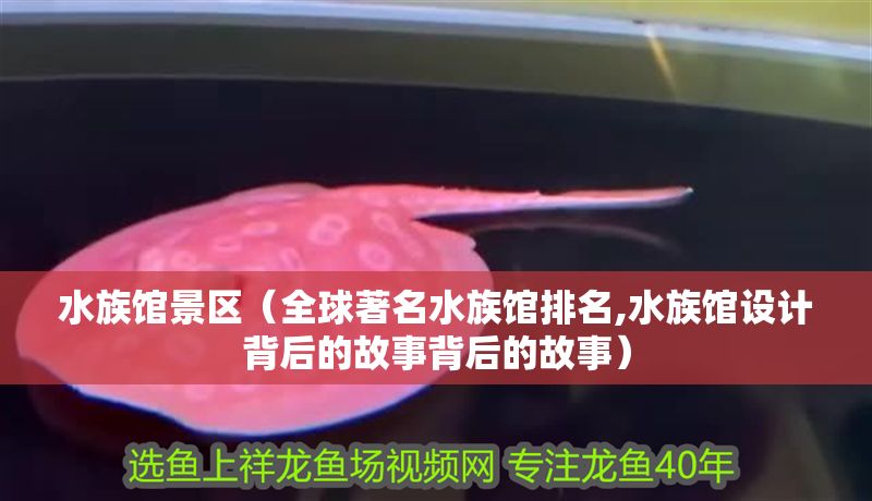 水族館景區（全球著名水族館排名,水族館設計背后的故事背后的故事）