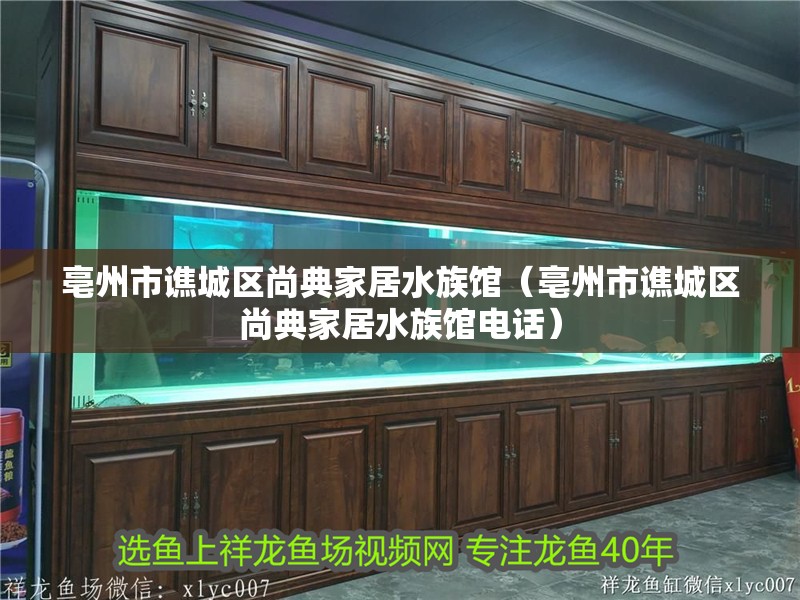 亳州市譙城區(qū)尚典家居水族館（亳州市譙城區(qū)尚典家居水族館電話）