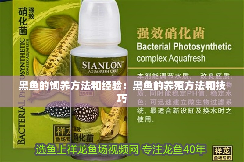 黑魚的飼養(yǎng)方法和經(jīng)驗(yàn)：黑魚的養(yǎng)殖方法和技巧