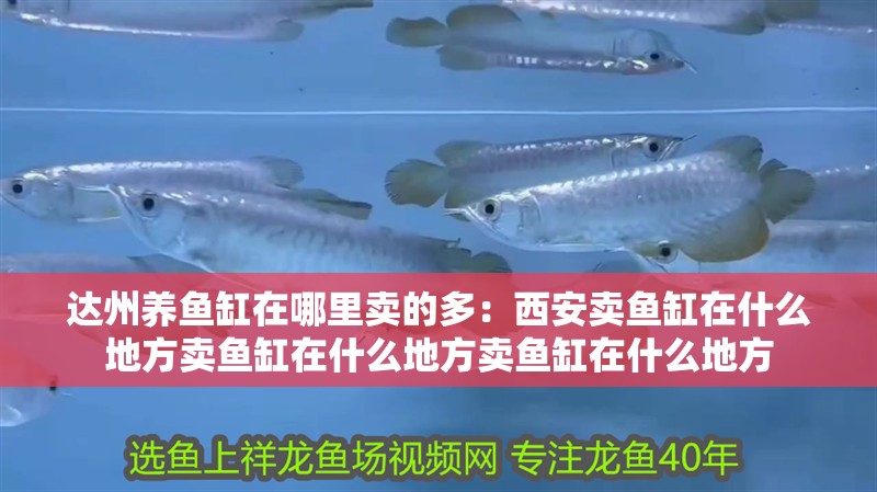 達州養魚缸在哪里賣的多：西安賣魚缸在什么地方賣魚缸在什么地方賣魚缸在什么地方 達州養魚缸在哪里賣的多：西安賣魚缸在什么地方賣魚缸在什么地方賣魚缸在什么地方 魚缸百科