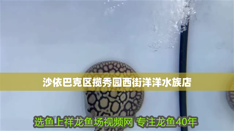 沙依巴克區攬秀園西街洋洋水族店