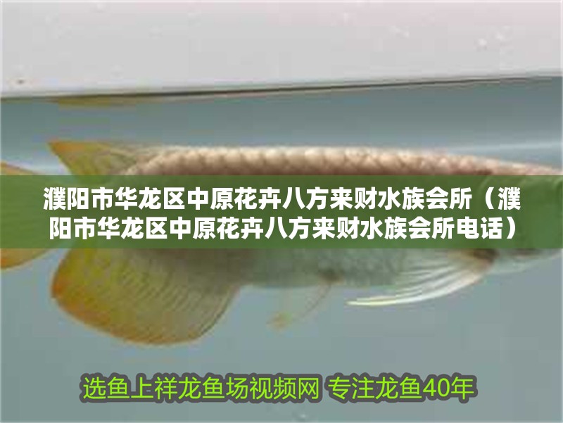 濮陽市華龍區中原花卉八方來財水族會所(濮陽市華龍區中原花卉八方來財水族會所電話) 全國水族館企業名錄 第2張 濮陽市華龍區中原花卉八方來財水族會所(濮陽市華龍區中原花卉八方來財水族會所電話) 濮陽市華龍區中原花卉八方來財水族會所(濮陽市華龍區中原花卉八方來財水族會所電話) 全國水族館企業名錄 第2張