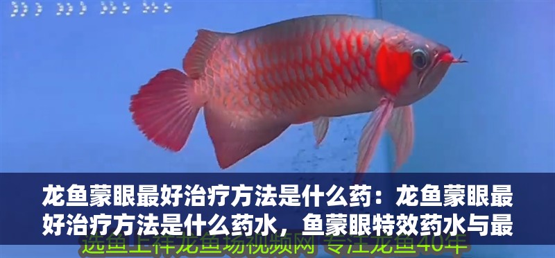 龍魚蒙眼最好治療方法是什么藥：龍魚蒙眼最好治療方法是什么藥水，魚蒙眼特效藥水與最佳治療方案