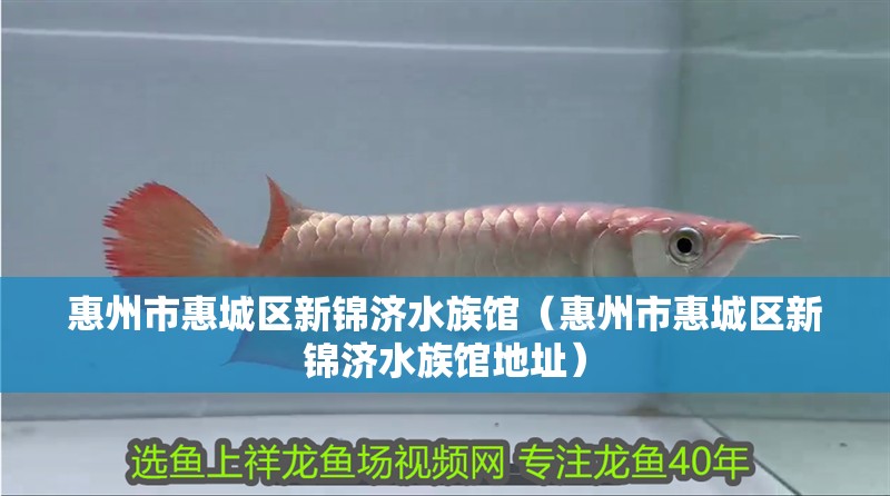 惠州市惠城區新錦濟水族館（惠州市惠城區新錦濟水族館地址）