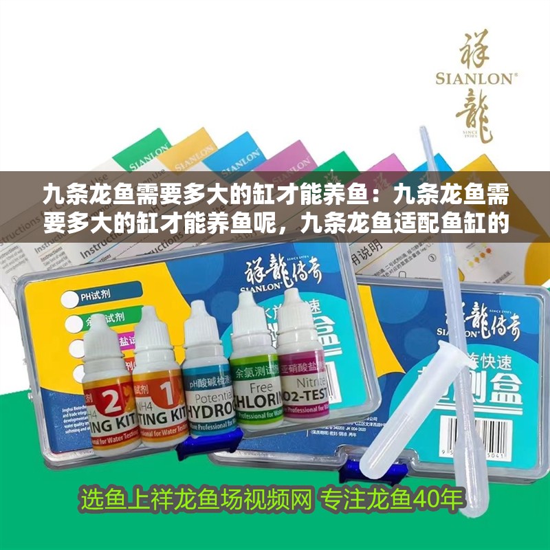 九條龍魚需要多大的缸才能養魚：九條龍魚需要多大的缸才能養魚呢，九條龍魚適配魚缸的合理尺寸