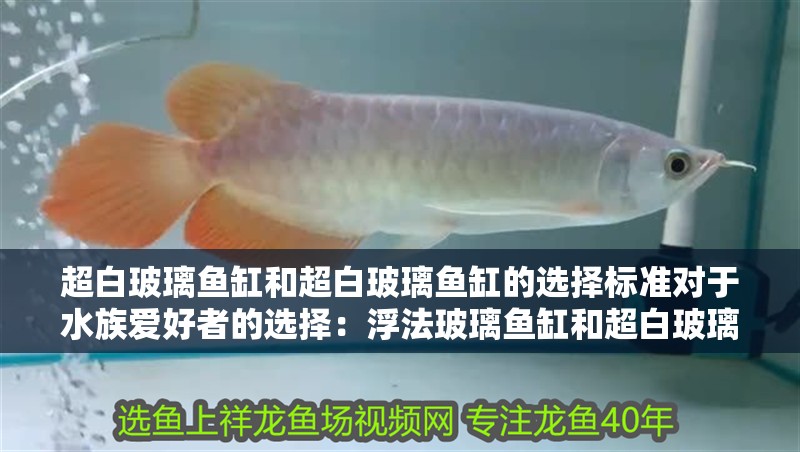 超白玻璃魚缸和超白玻璃魚缸的選擇標準對于水族愛好者的選擇：浮法玻璃魚缸和超白玻璃魚缸的區別