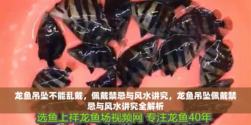 龍魚吊墜不能亂戴，佩戴禁忌與風水講究，龍魚吊墜佩戴禁忌與風水講究全解析 龍魚吊墜不能亂戴，佩戴禁忌與風水講究，龍魚吊墜佩戴禁忌與風水講究全解析 龍魚百科 第1張