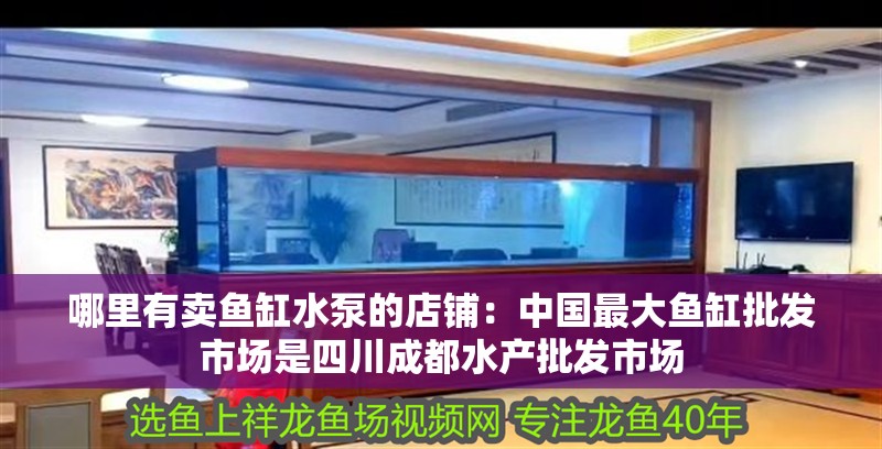 哪里有賣魚缸水泵的店鋪：中國最大魚缸批發市場是四川成都水產批發市場