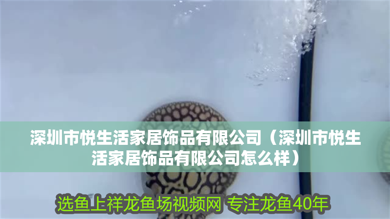 深圳市悅生活家居飾品有限公司（深圳市悅生活家居飾品有限公司怎么樣）
