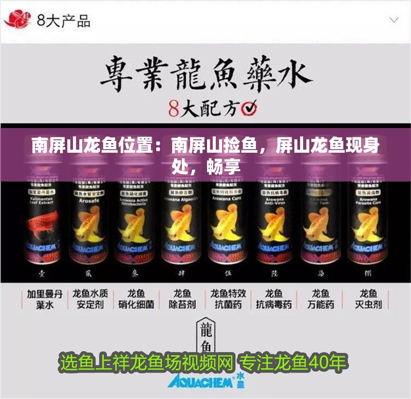 南屏山龍魚位置：南屏山撿魚，屏山龍魚現(xiàn)身處，暢享