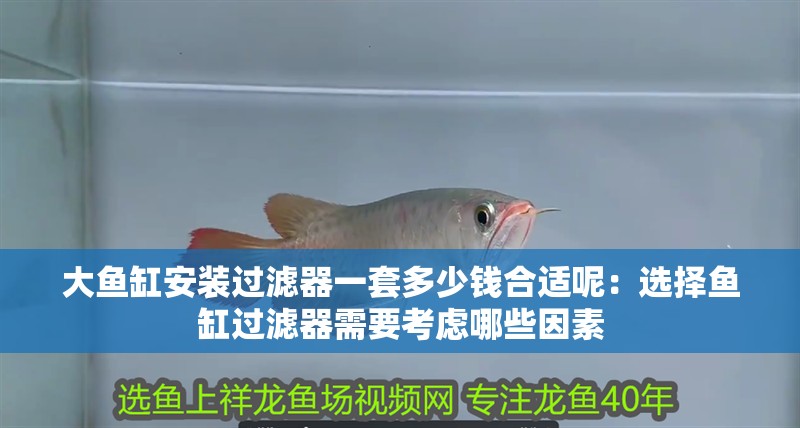新到家的小虎魚 大魚缸安裝過濾器一套多少錢合適呢:選擇魚缸過濾器需要考慮哪些因素 魚缸百科 大魚缸安裝過濾器一套多少錢合適呢:選擇魚缸過濾器需要考慮哪些因素 大魚缸安裝過濾器一套多少錢合適呢:選擇魚缸過濾器需要考慮哪些因素 魚缸百科