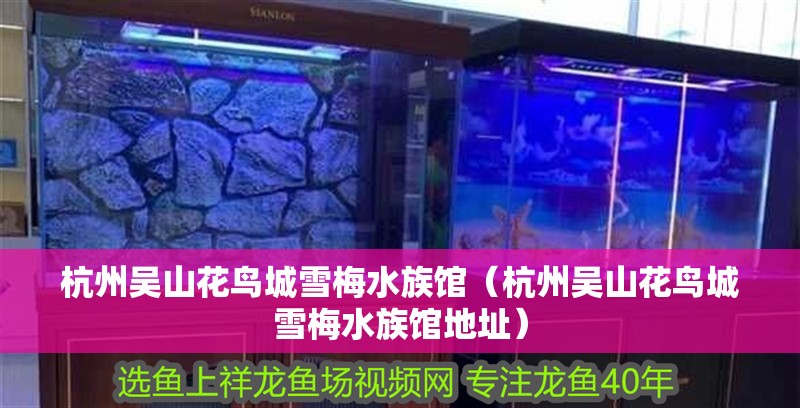 杭州吳山花鳥城雪梅水族館（杭州吳山花鳥城雪梅水族館地址）