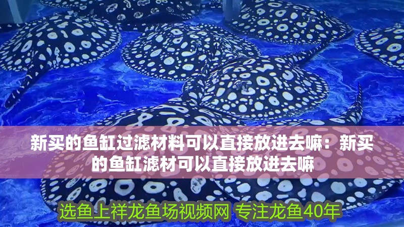 新買的魚缸過濾材料可以直接放進去嘛：新買的魚缸濾材可以直接放進去嘛