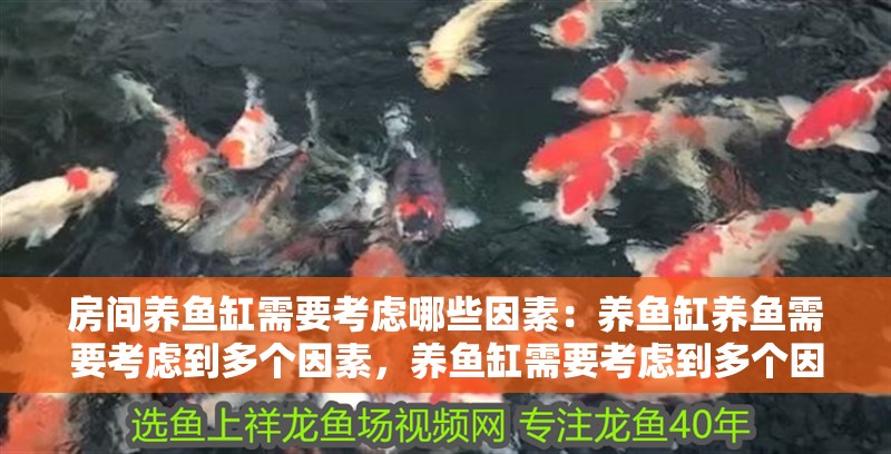 房間養(yǎng)魚缸需要考慮哪些因素：養(yǎng)魚缸養(yǎng)魚需要考慮到多個因素，養(yǎng)魚缸需要考慮到多個因素