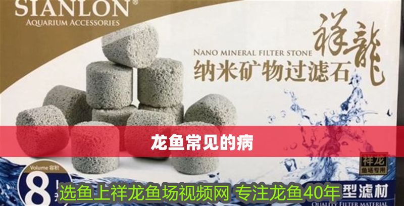 龍魚常見的病 龍魚常見的病 龍魚百科 第2張