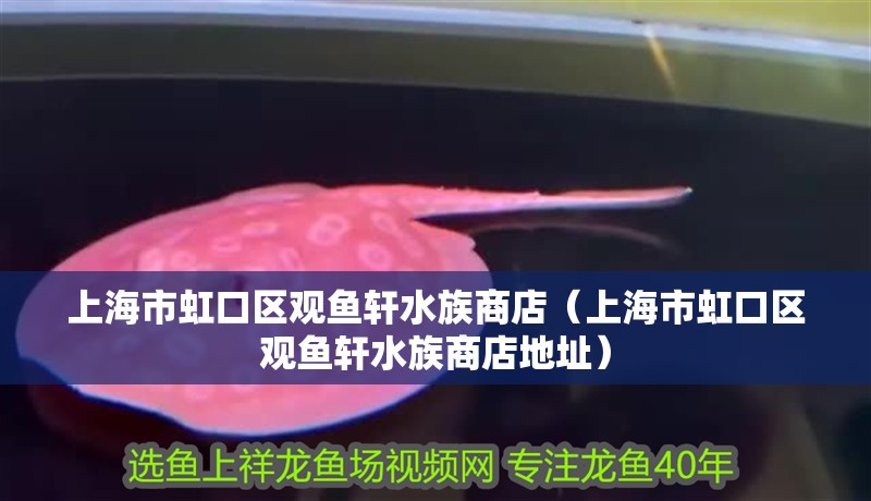 上海市虹口區觀魚軒水族商店（上海市虹口區觀魚軒水族商店地址）