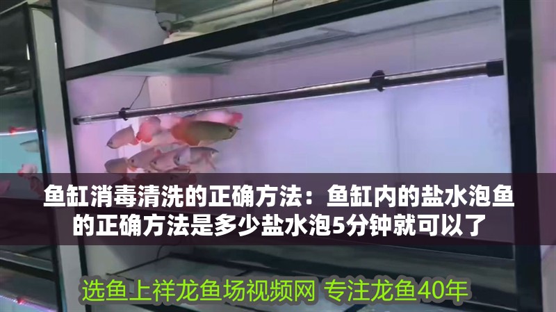 魚缸消毒清洗的正確方法：魚缸內的鹽水泡魚的正確方法是多少鹽水泡5分鐘就可以了