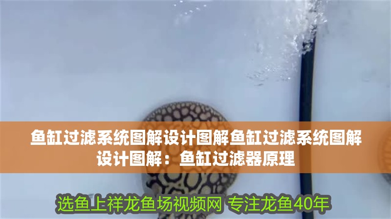 魚缸過濾系統圖解設計圖解魚缸過濾系統圖解設計圖解：魚缸過濾器原理