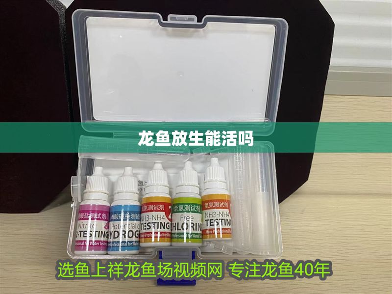 龍魚放生能活嗎 龍魚放生能活嗎 龍魚百科 第2張