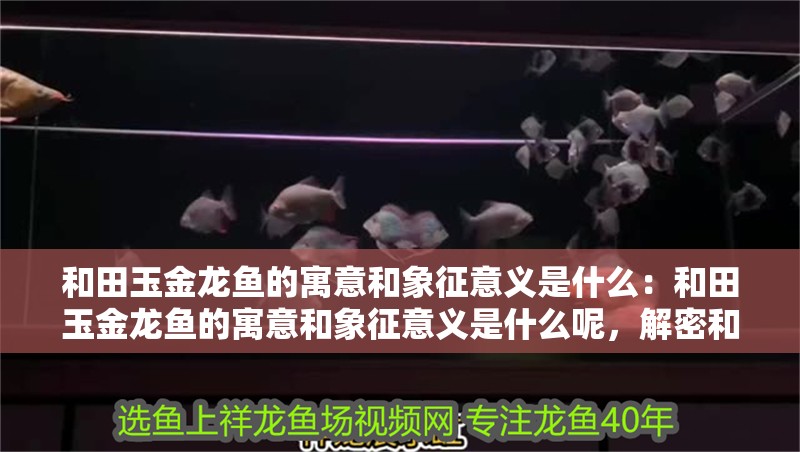 和田玉金龍魚的寓意和象征意義是什么：和田玉金龍魚的寓意和象征意義是什么呢，解密和田玉金龍魚的吉祥寓意與深層象征 和田玉金龍魚的寓意和象征意義是什么：和田玉金龍魚的寓意和象征意義是什么呢，解密和田玉金龍魚的吉祥寓意與深層象征 水族問答