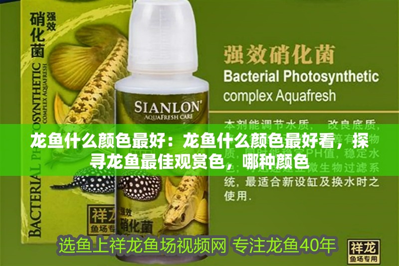 龍魚什么顏色最好：龍魚什么顏色最好看，探尋龍魚最佳觀賞色，哪種顏色