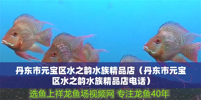 丹東市元寶區水之韻水族精品店（丹東市元寶區水之韻水族精品店電話）