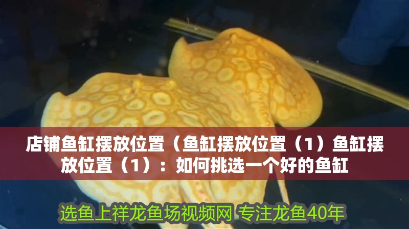 店鋪魚缸擺放位置（魚缸擺放位置（1）魚缸擺放位置（1）：如何挑選一個好的魚缸