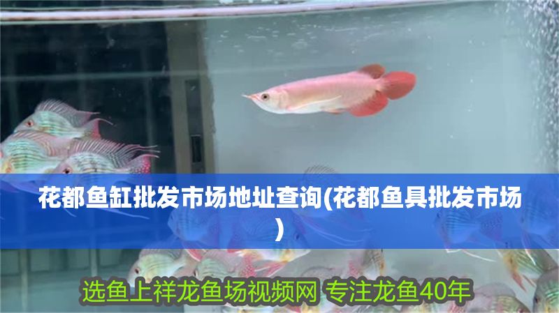 花都魚缸批發市場地址查詢(花都魚具批發市場)