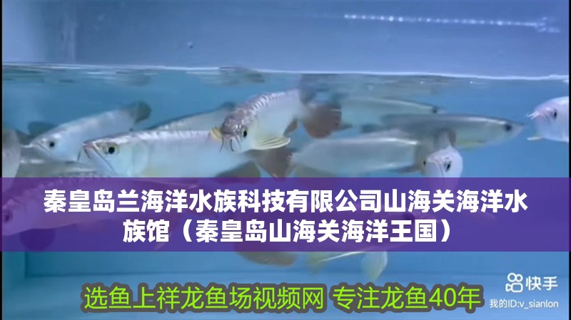 秦皇島蘭海洋水族科技有限公司山海關海洋水族館（秦皇島山海關海洋王國）