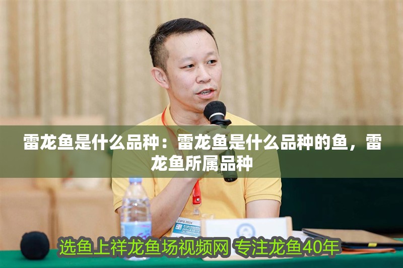 雷龍魚是什么品種：雷龍魚是什么品種的魚，雷龍魚所屬品種