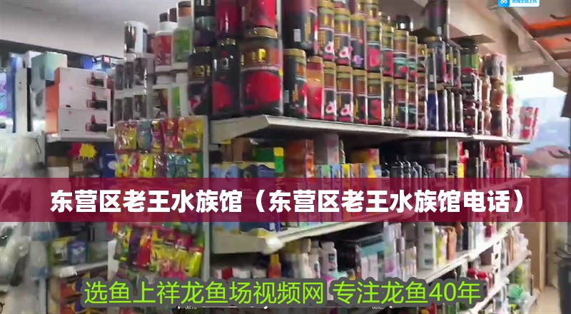 東營區老王水族館（東營區老王水族館電話） 東營區老王水族館（東營區老王水族館電話） 全國水族館企業名錄 第2張