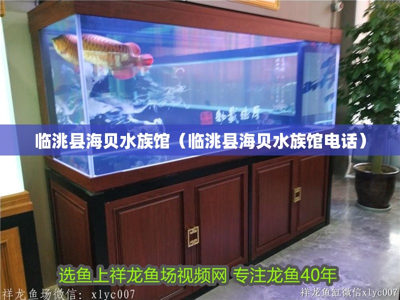 臨洮縣海貝水族館（臨洮縣海貝水族館電話） 臨洮縣海貝水族館（臨洮縣海貝水族館電話） 全國水族館企業(yè)名錄 第2張