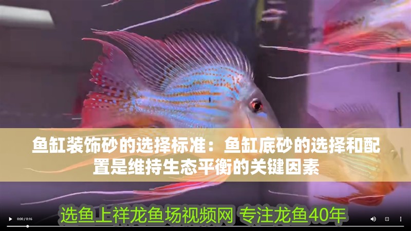 魚缸裝飾砂的選擇標(biāo)準(zhǔn)：魚缸底砂的選擇和配置是維持生態(tài)平衡的關(guān)鍵因素