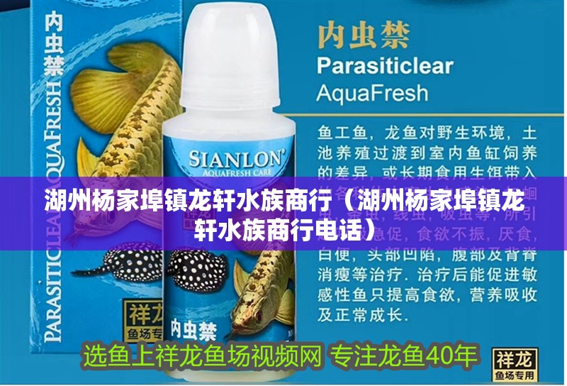 湖州楊家埠鎮(zhèn)龍軒水族商行（湖州楊家埠鎮(zhèn)龍軒水族商行電話） 湖州楊家埠鎮(zhèn)龍軒水族商行（湖州楊家埠鎮(zhèn)龍軒水族商行電話） 全國(guó)水族館企業(yè)名錄 第2張