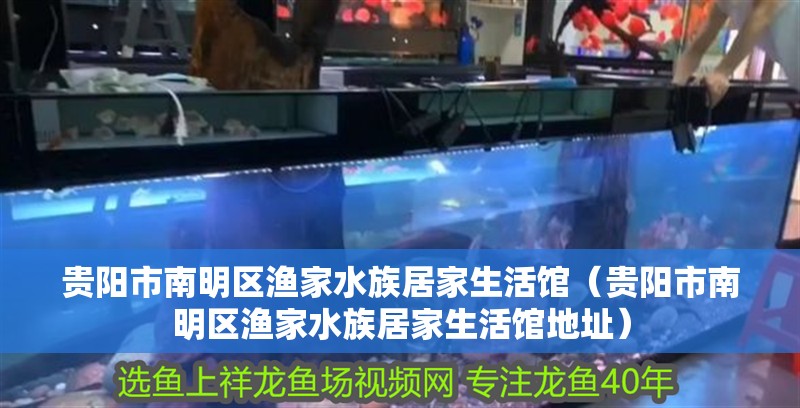 貴陽市南明區漁家水族居家生活館（貴陽市南明區漁家水族居家生活館地址）