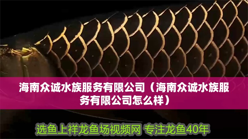 海南眾誠水族服務有限公司（海南眾誠水族服務有限公司怎么樣）