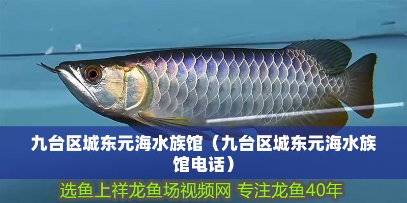 九臺區城東元海水族館（九臺區城東元海水族館電話）