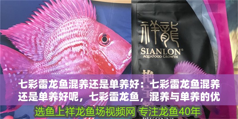 七彩雷龍魚混養(yǎng)還是單養(yǎng)好：七彩雷龍魚混養(yǎng)還是單養(yǎng)好呢，七彩雷龍魚，混養(yǎng)與單養(yǎng)的優(yōu)劣抉擇