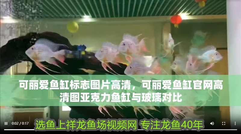 可麗愛魚缸標志圖片高清，可麗愛魚缸官網高清圖亞克力魚缸與玻璃對比 可麗愛魚缸標志圖片高清，可麗愛魚缸官網高清圖亞克力魚缸與玻璃對比 龍魚百科 第7張
