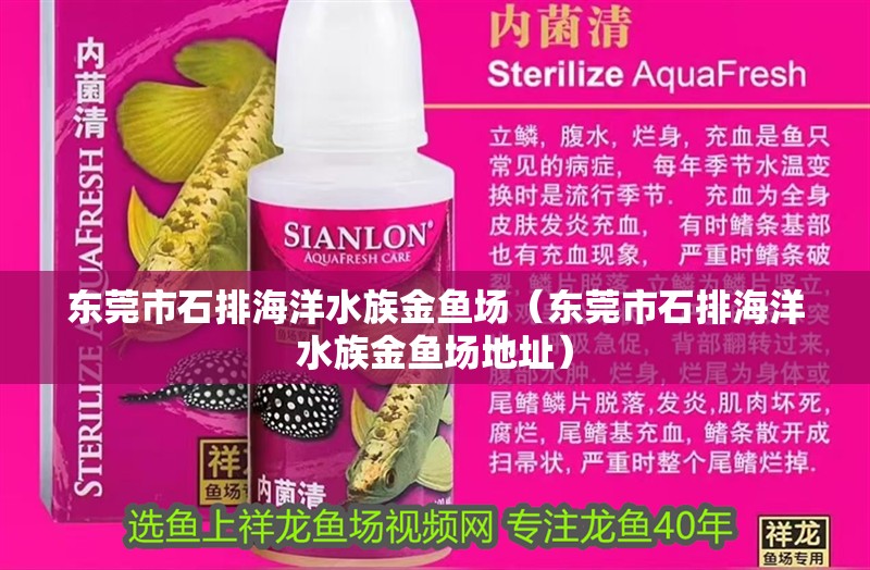 東莞市石排海洋水族金魚場（東莞市石排海洋水族金魚場地址） 東莞市石排海洋水族金魚場（東莞市石排海洋水族金魚場地址） 全國水族館企業名錄 第2張