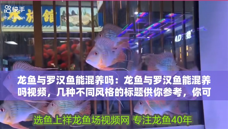 龍魚與羅漢魚能混養嗎:龍魚與羅漢魚能混養嗎視頻,幾種不同風格的標題供你參考,你可以根據需求進行選擇,,深度解析,龍魚和羅漢魚究竟能否混養?附視頻揭秘,龍魚×羅漢魚混養大揭秘!視頻帶你一探究竟,必看!龍魚與羅漢魚能不能混養?視頻給出答案 水族問答 龍魚與羅漢魚能混養嗎:龍魚與羅漢魚能混養嗎視頻,幾種不同風格的標題供你參考,你可以根據需求進行選擇,,深度解析,龍魚和羅漢魚究竟能否混養?附視頻揭秘,龍魚×羅漢魚混養大揭秘!視頻帶你一探究竟,必看!龍魚與羅漢魚能不能混養?視頻給出答案 龍魚與羅漢魚能混養嗎:龍魚與羅漢魚能混養嗎視頻,幾種不同風格的標題供你參考,你可以根據需求進行選擇,,深度解析,龍魚和羅漢魚究竟能否混養?附視頻揭秘,龍魚×羅漢魚混養大揭秘!視頻帶你一探究竟,必看!龍魚與羅漢魚能不能混養?視頻給出答案 水族問答